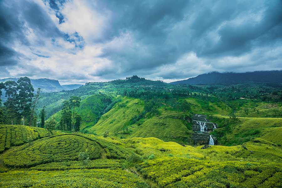 Best Of Nuwara Eliya Sri Lanka Holiday